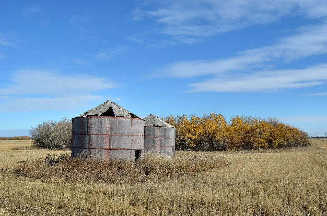 Old granaries in a stubble field, 2011